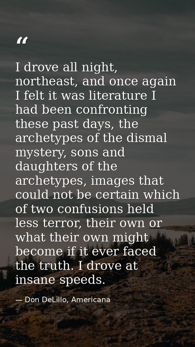 I drove all night, northeast, and once again I felt it was literature I had been confronting these past days, the archet — Don DeLillo, Americana