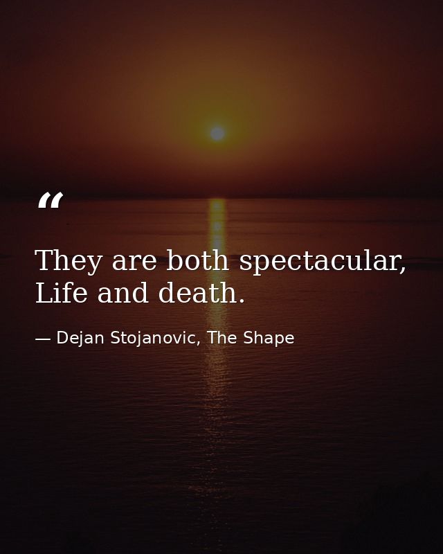 They are both spectacular, Life and death. — Dejan Stojanovic, The Shape