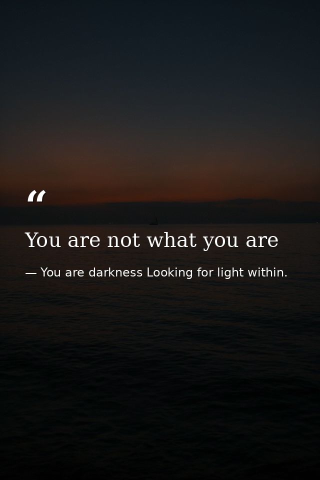 You are not what you are — You are darkness Looking for light within.