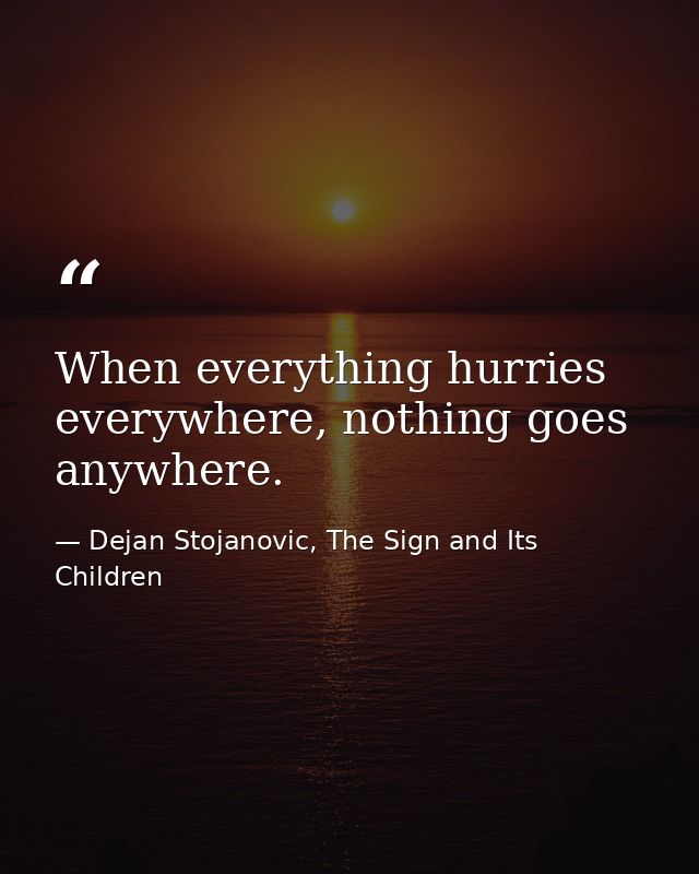 When everything hurries everywhere, nothing goes anywhere. — Dejan Stojanovic, The Sign and Its Children