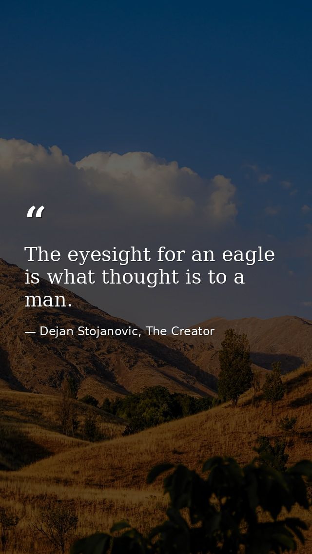The eyesight for an eagle is what thought is to a man. — Dejan Stojanovic, The Creator