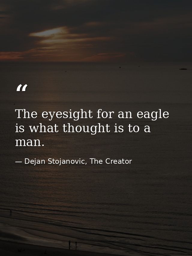 The eyesight for an eagle is what thought is to a man. — Dejan Stojanovic, The Creator