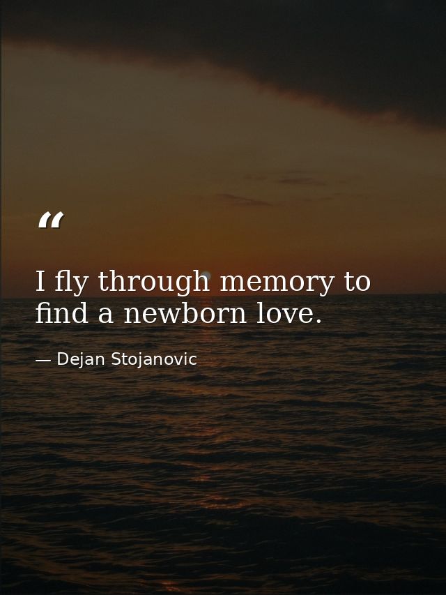 I fly through memory to find a newborn love. — Dejan Stojanovic