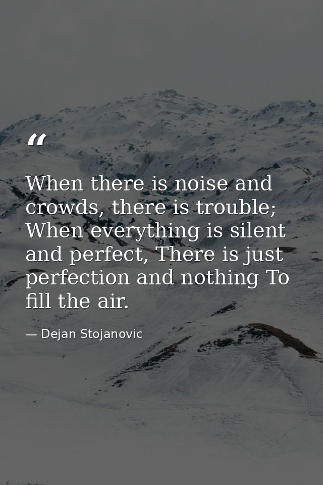 When there is noise and crowds, there is trouble; When everything is silent and perfect, There is just perfection and no — Dejan Stojanovic