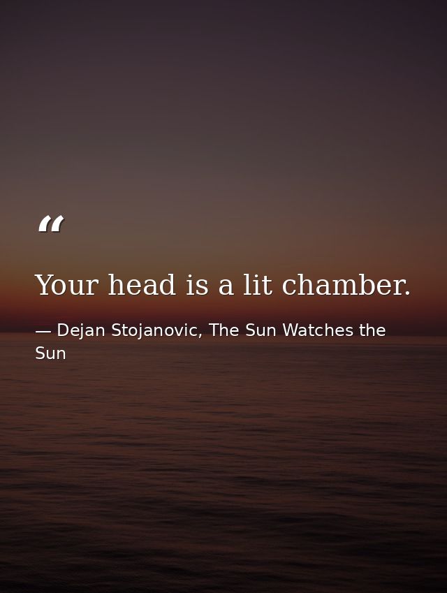 Your head is a lit chamber. — Dejan Stojanovic, The Sun Watches the Sun