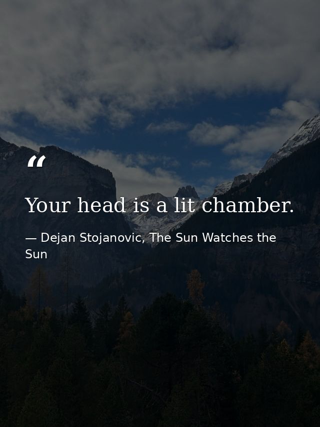 Your head is a lit chamber. — Dejan Stojanovic, The Sun Watches the Sun