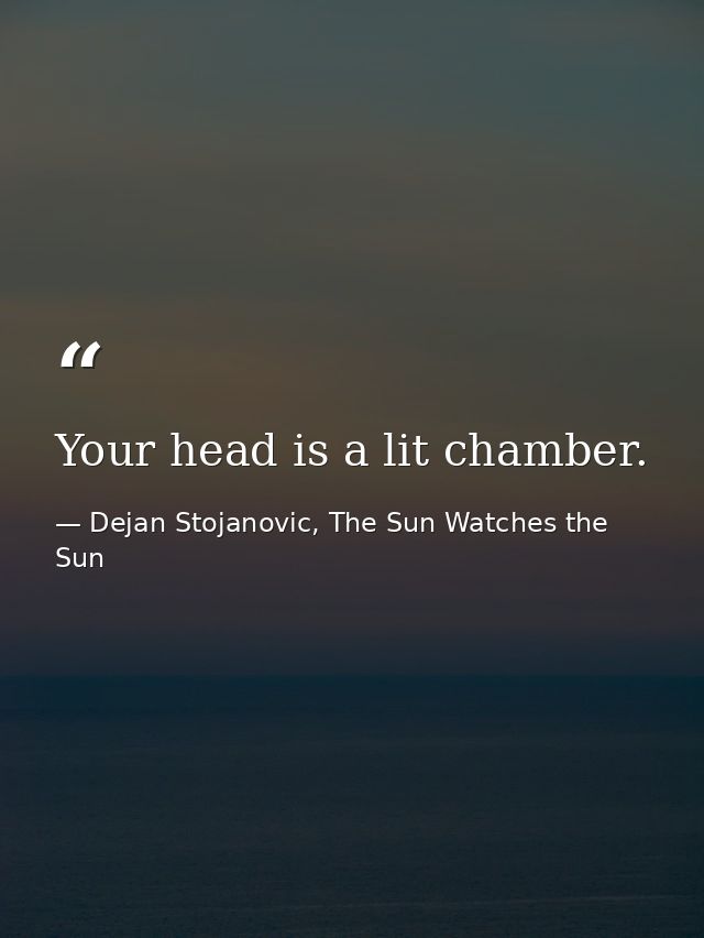 Your head is a lit chamber. — Dejan Stojanovic, The Sun Watches the Sun