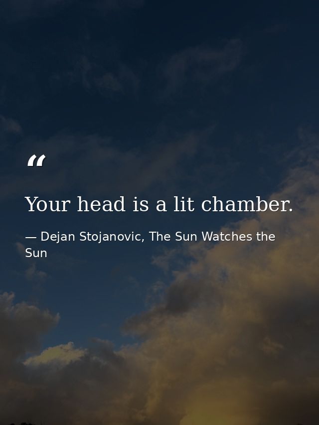 Your head is a lit chamber. — Dejan Stojanovic, The Sun Watches the Sun