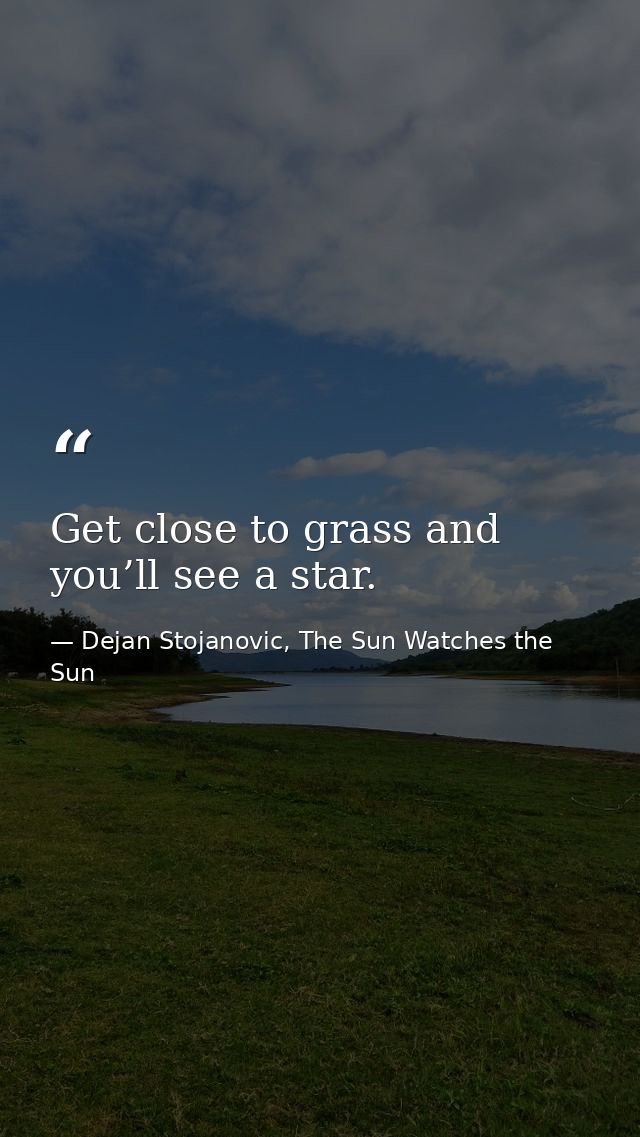 Get close to grass and you’ll see a star. — Dejan Stojanovic, The Sun Watches the Sun