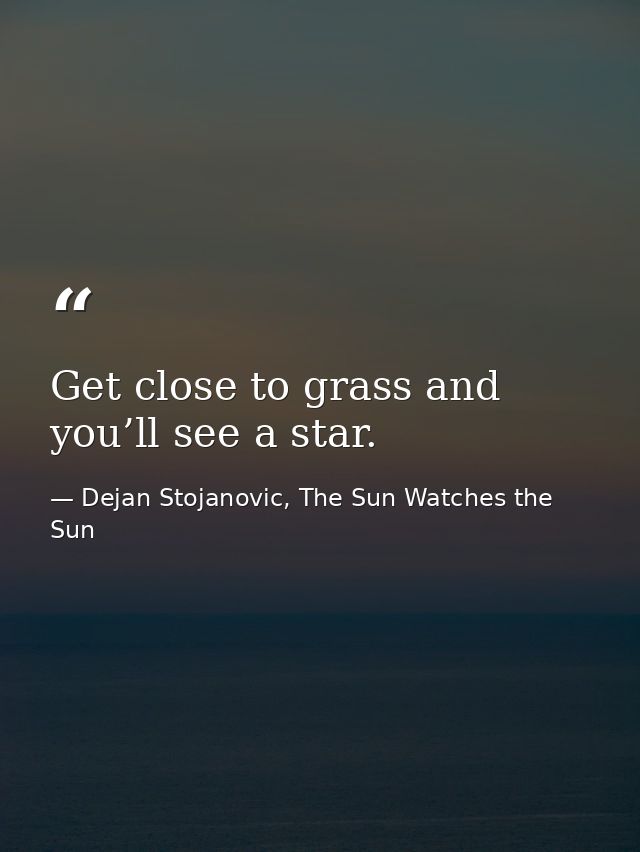 Get close to grass and you’ll see a star. — Dejan Stojanovic, The Sun Watches the Sun
