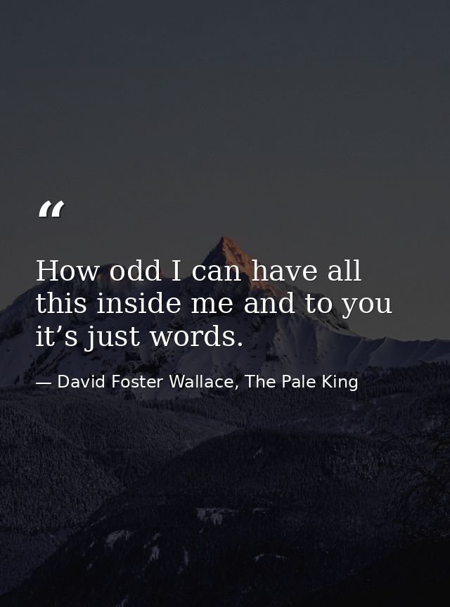 How odd I can have all this inside me and to you it’s just words. — David Foster Wallace, The Pale King