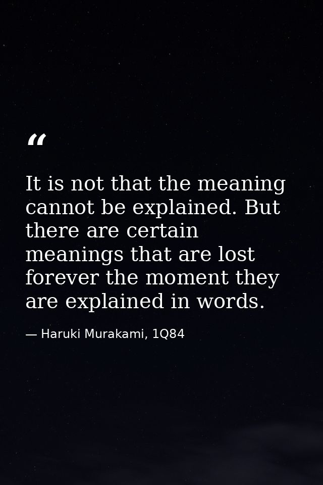 It is not that the meaning cannot be explained. But there are certain meanings that are lost forever the moment they are — Haruki Murakami, 1Q84