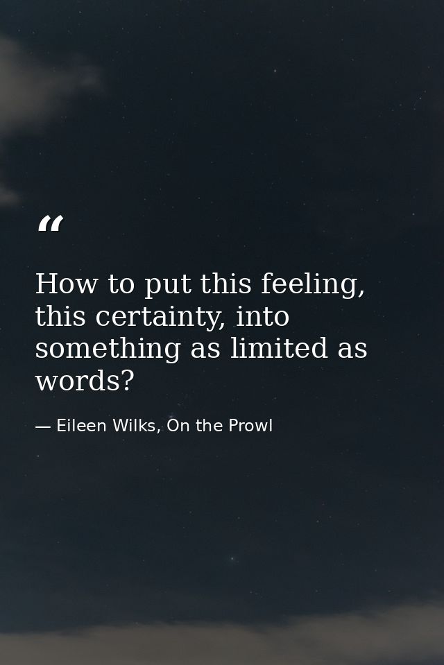 How to put this feeling, this certainty, into something as limited as words? — Eileen Wilks, On the Prowl
