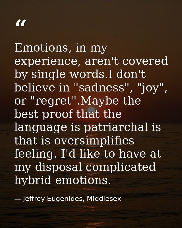Emotions, in my experience, aren't covered by single words.I don't believe in "sadness", "joy", or "regret".Maybe the be — Jeffrey Eugenides, Middlesex