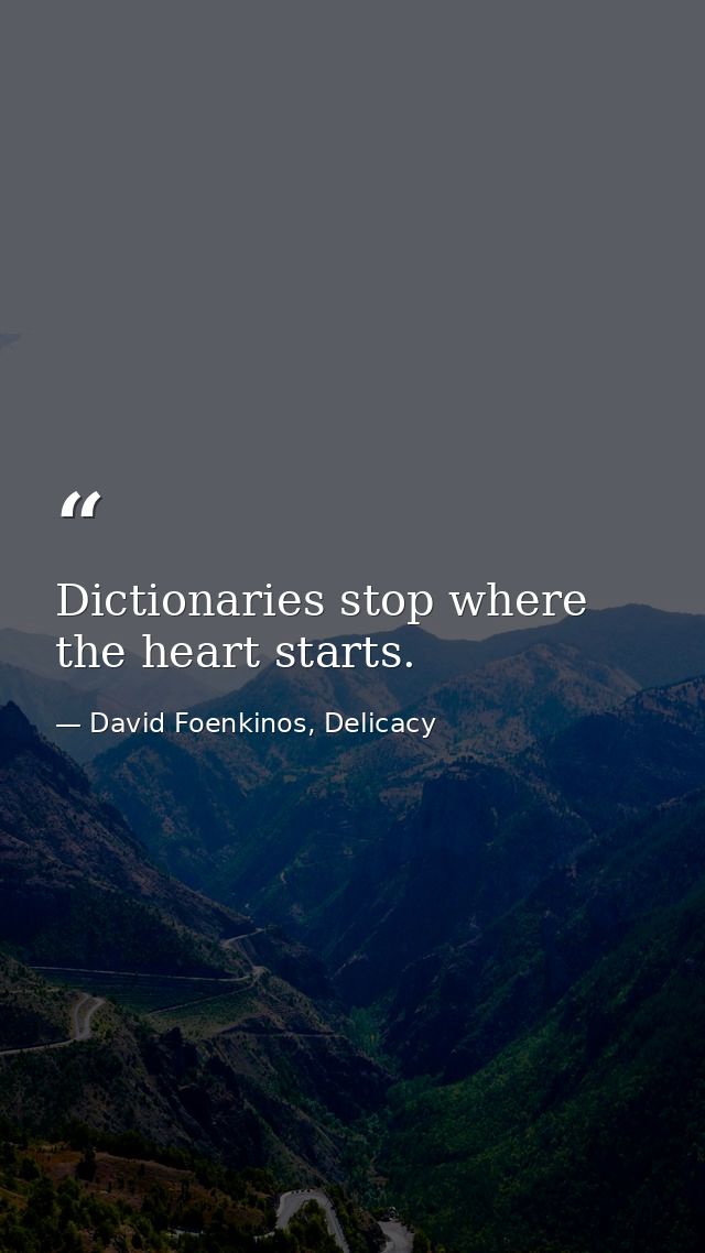 Dictionaries stop where the heart starts. — David Foenkinos, Delicacy