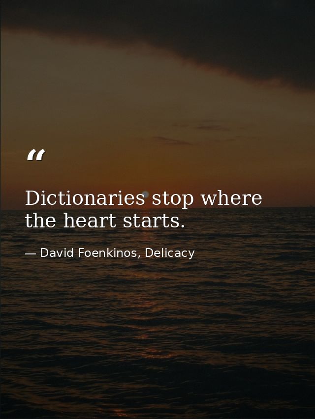 Dictionaries stop where the heart starts. — David Foenkinos, Delicacy