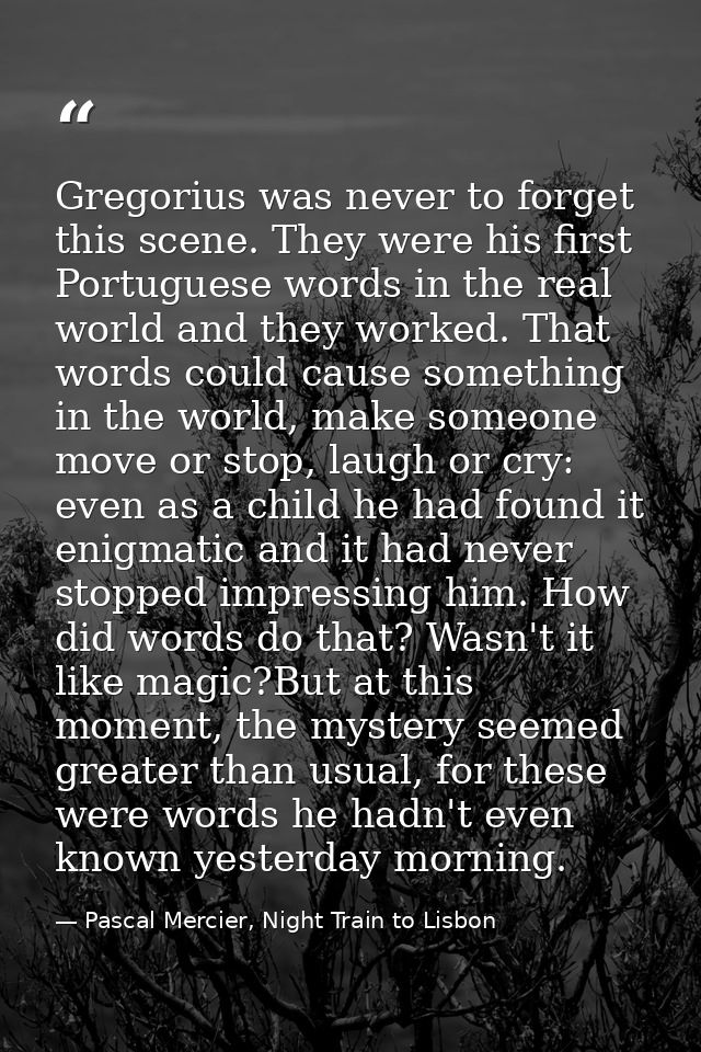 Gregorius was never to forget this scene. They were his first Portuguese words in the real world and they worked. That w — Pascal Mercier, Night Train to Lisbon