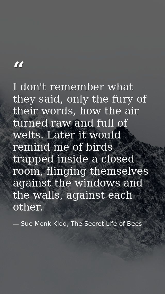 I don't remember what they said, only the fury of their words, how the air turned raw and full of welts. Later it would  — Sue Monk Kidd, The Secret Life of Bees