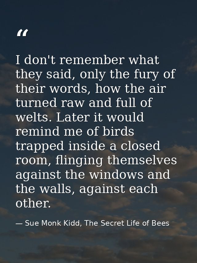 I don't remember what they said, only the fury of their words, how the air turned raw and full of welts. Later it would  — Sue Monk Kidd, The Secret Life of Bees