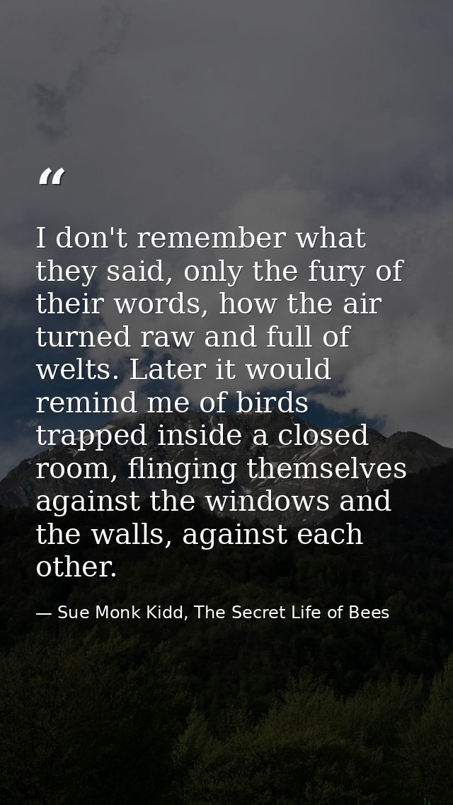 I don't remember what they said, only the fury of their words, how the air turned raw and full of welts. Later it would  — Sue Monk Kidd, The Secret Life of Bees