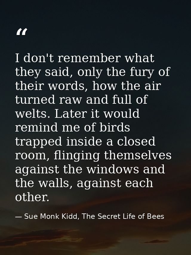 I don't remember what they said, only the fury of their words, how the air turned raw and full of welts. Later it would  — Sue Monk Kidd, The Secret Life of Bees