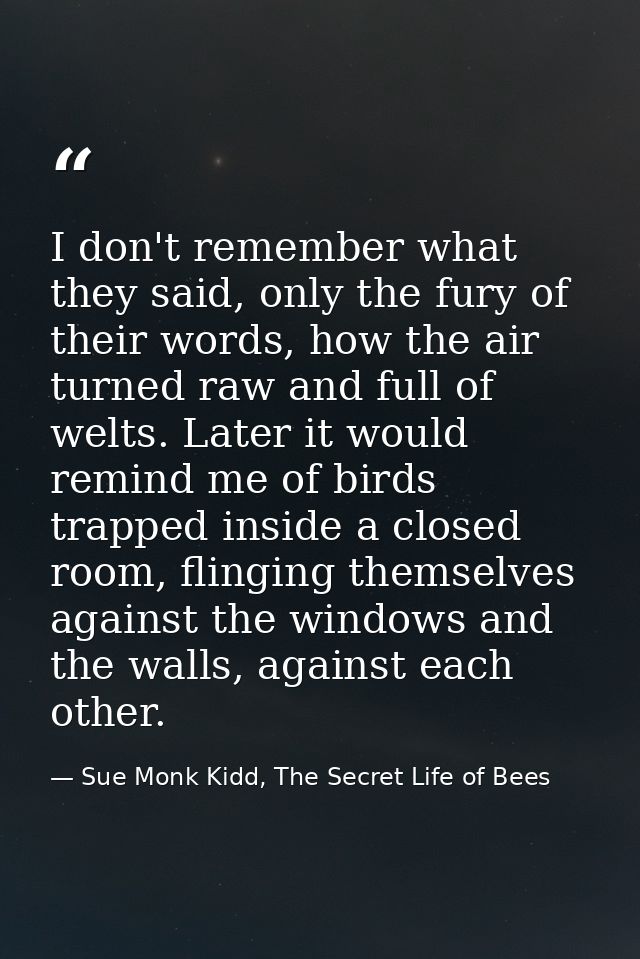 I don't remember what they said, only the fury of their words, how the air turned raw and full of welts. Later it would  — Sue Monk Kidd, The Secret Life of Bees