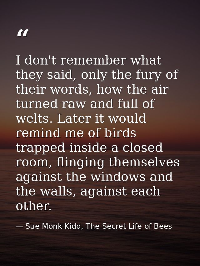 I don't remember what they said, only the fury of their words, how the air turned raw and full of welts. Later it would  — Sue Monk Kidd, The Secret Life of Bees