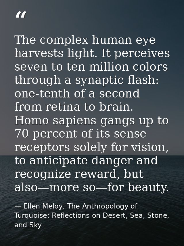 The complex human eye harvests light. It perceives seven to ten million colors through a synaptic flash: one-tenth of a  — Ellen Meloy, The Anthropology of Turquoise: Reflections on Desert, Sea, Stone, and Sky