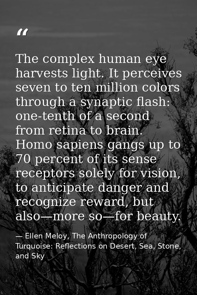 The complex human eye harvests light. It perceives seven to ten million colors through a synaptic flash: one-tenth of a  — Ellen Meloy, The Anthropology of Turquoise: Reflections on Desert, Sea, Stone, and Sky