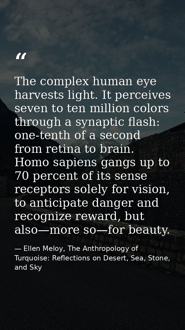 The complex human eye harvests light. It perceives seven to ten million colors through a synaptic flash: one-tenth of a  — Ellen Meloy, The Anthropology of Turquoise: Reflections on Desert, Sea, Stone, and Sky