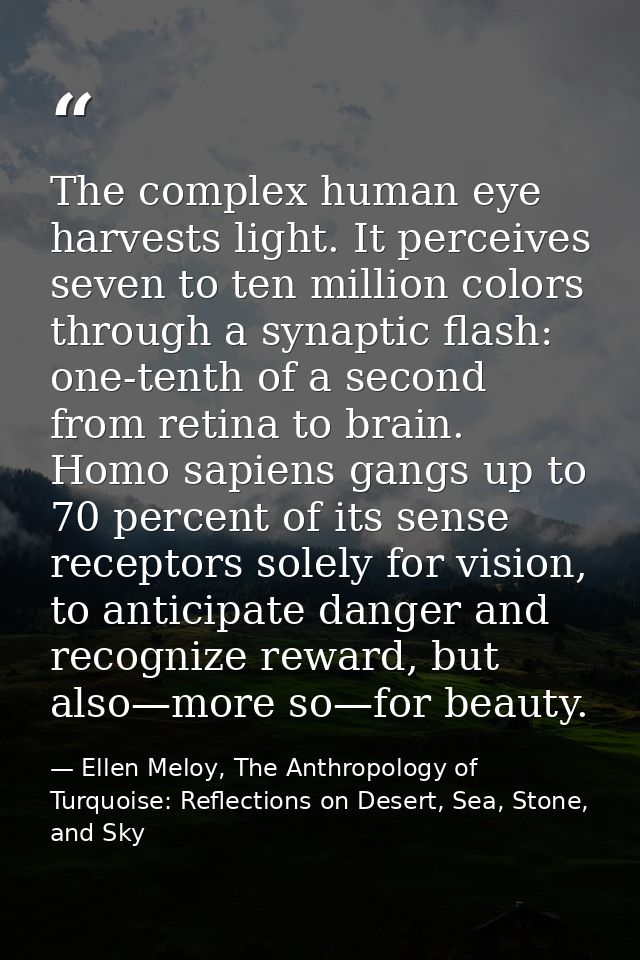 The complex human eye harvests light. It perceives seven to ten million colors through a synaptic flash: one-tenth of a  — Ellen Meloy, The Anthropology of Turquoise: Reflections on Desert, Sea, Stone, and Sky