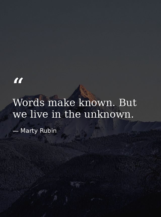Words make known. But we live in the unknown. — Marty Rubin