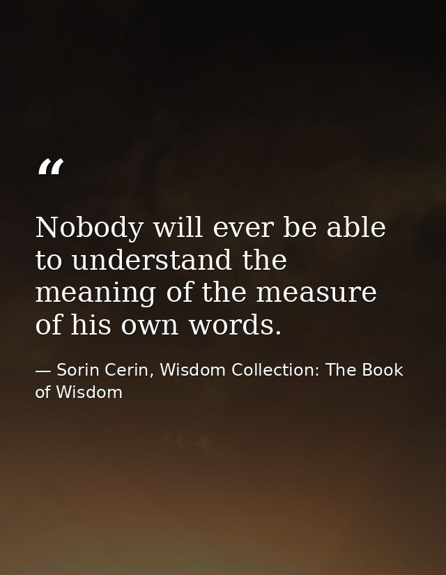 Nobody will ever be able to understand the meaning of the measure of his own words. — Sorin Cerin, Wisdom Collection: The Book of Wisdom
