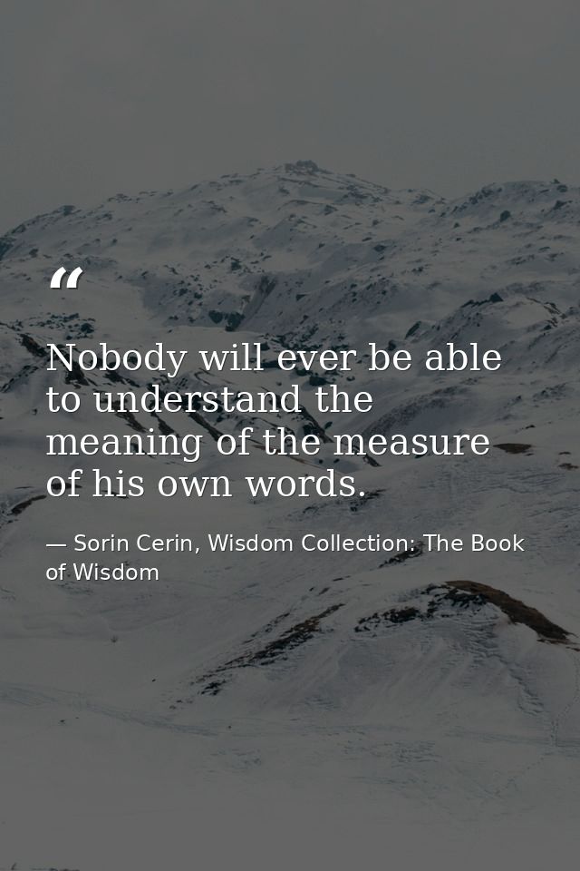 Nobody will ever be able to understand the meaning of the measure of his own words. — Sorin Cerin, Wisdom Collection: The Book of Wisdom