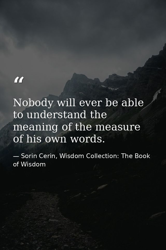 Nobody will ever be able to understand the meaning of the measure of his own words. — Sorin Cerin, Wisdom Collection: The Book of Wisdom