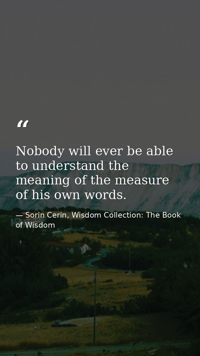 Nobody will ever be able to understand the meaning of the measure of his own words. — Sorin Cerin, Wisdom Collection: The Book of Wisdom