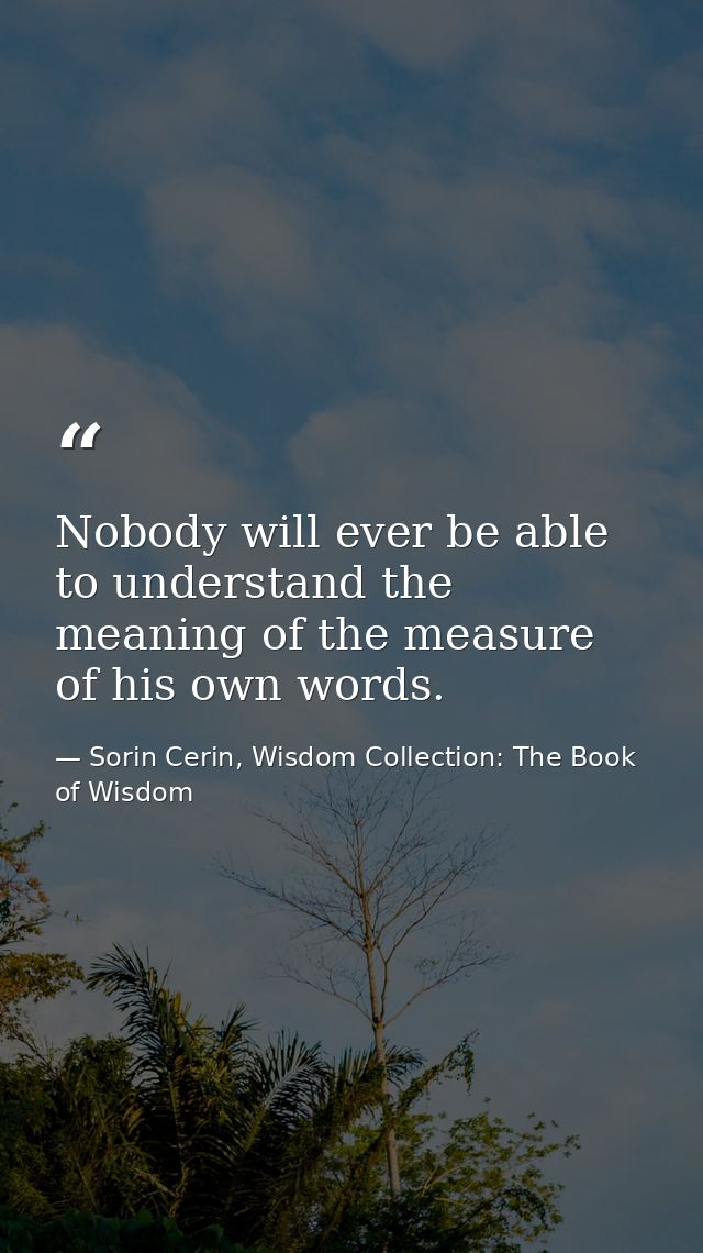 Nobody will ever be able to understand the meaning of the measure of his own words. — Sorin Cerin, Wisdom Collection: The Book of Wisdom