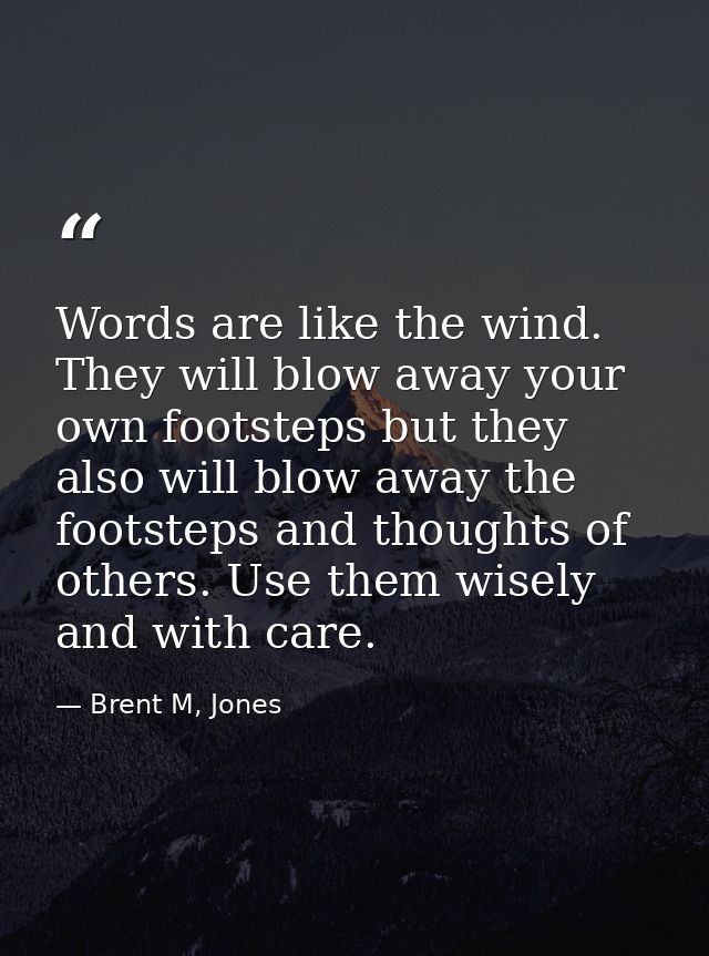 Words are like the wind. They will blow away your own footsteps but they also will blow away the footsteps and thoughts  — Brent M, Jones