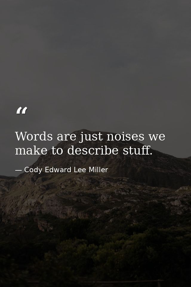 Words are just noises we make to describe stuff. — Cody Edward Lee Miller