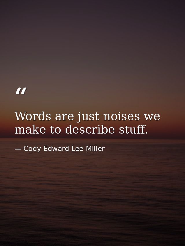 Words are just noises we make to describe stuff. — Cody Edward Lee Miller