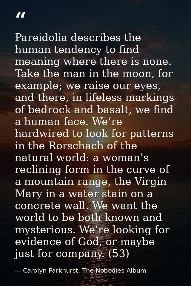 Pareidolia describes the human tendency to find meaning where there is none. Take the man in the moon, for example; we r — Carolyn Parkhurst, The Nobodies Album