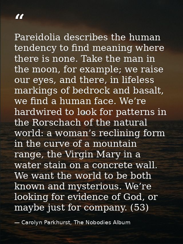 Pareidolia describes the human tendency to find meaning where there is none. Take the man in the moon, for example; we r — Carolyn Parkhurst, The Nobodies Album