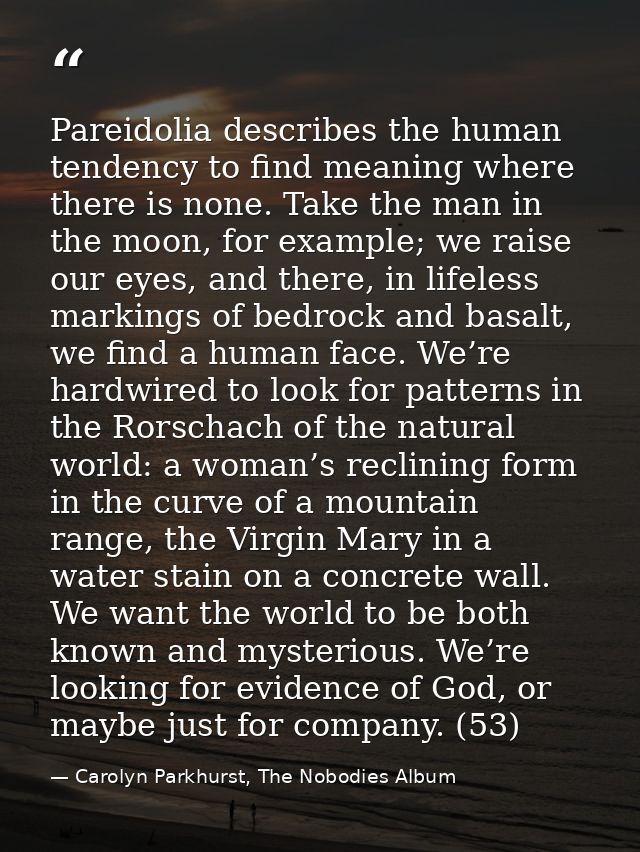 Pareidolia describes the human tendency to find meaning where there is none. Take the man in the moon, for example; we r — Carolyn Parkhurst, The Nobodies Album