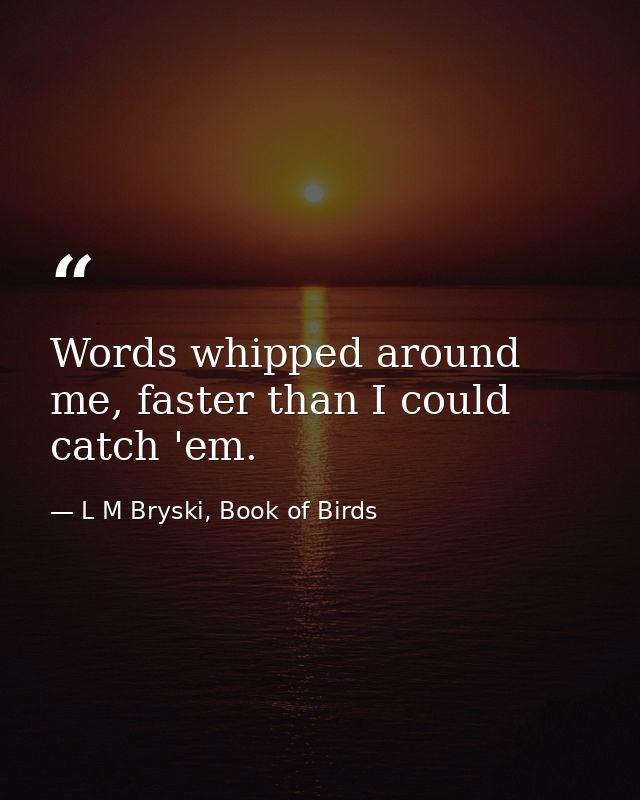 Words whipped around me, faster than I could catch 'em. — L M Bryski, Book of Birds