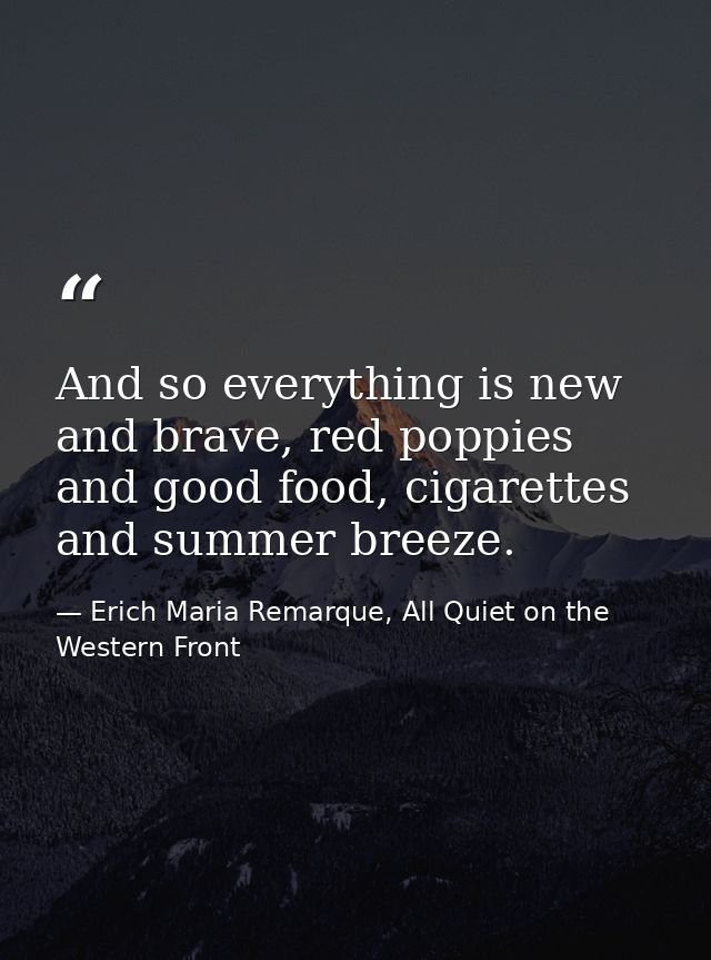 And so everything is new and brave, red poppies and good food, cigarettes and summer breeze. — Erich Maria Remarque, All Quiet on the Western Front