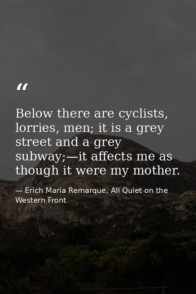 Below there are cyclists, lorries, men; it is a grey street and a grey subway;—it affects me as though it were my mother — Erich Maria Remarque, All Quiet on the Western Front