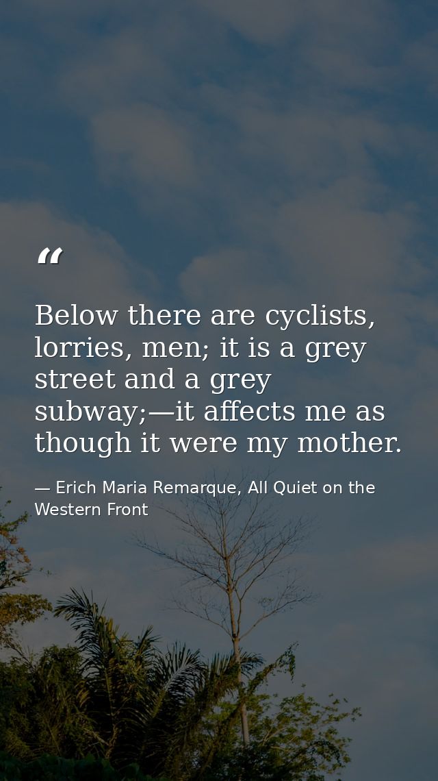Below there are cyclists, lorries, men; it is a grey street and a grey subway;—it affects me as though it were my mother — Erich Maria Remarque, All Quiet on the Western Front