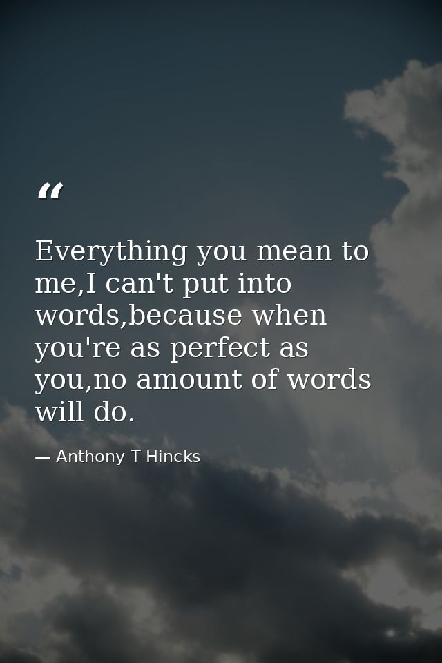 Everything you mean to me,I can't put into words,because when you're as perfect as you,no amount of words will do. — Anthony T Hincks