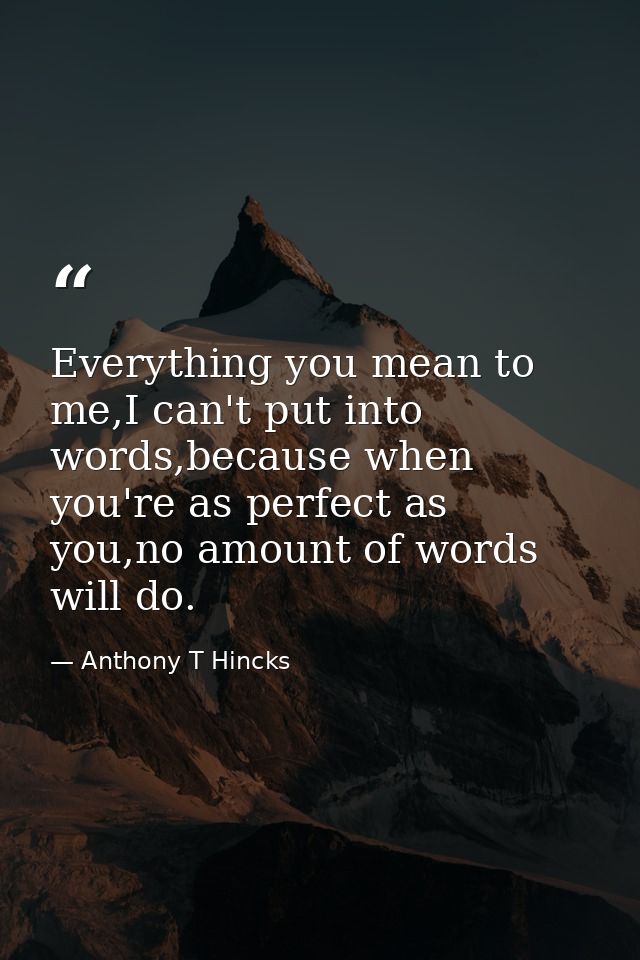 Everything you mean to me,I can't put into words,because when you're as perfect as you,no amount of words will do. — Anthony T Hincks