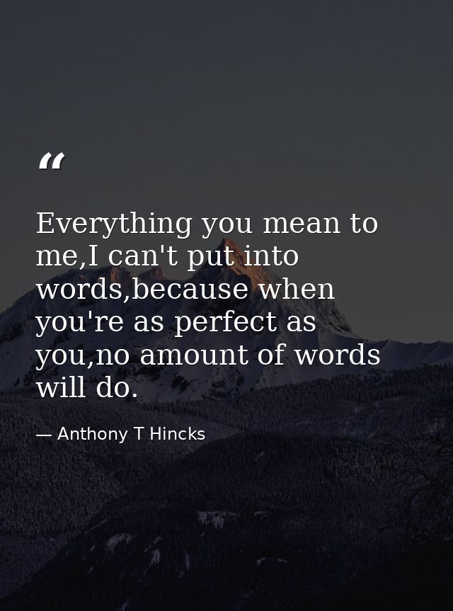 Everything you mean to me,I can't put into words,because when you're as perfect as you,no amount of words will do. — Anthony T Hincks